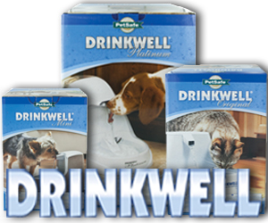 drinkwell, fontanna, miska, pojnik